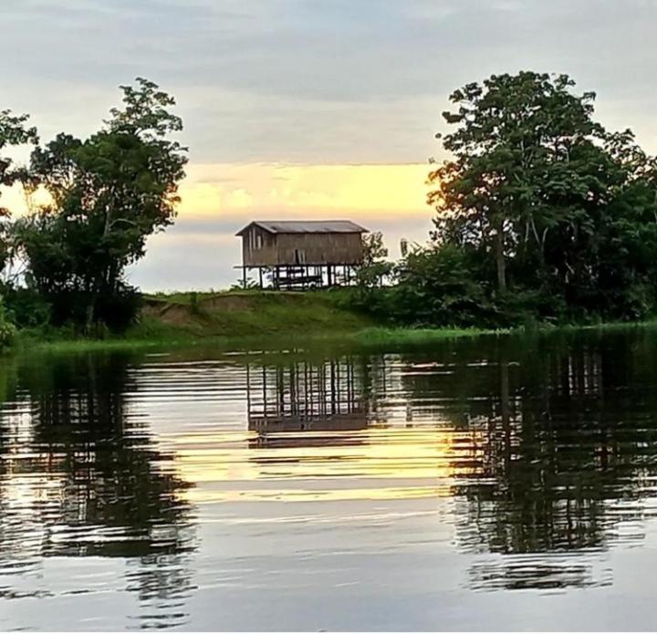 Отель Amazon Gero Tours Careiro da Varzea Экстерьер фото